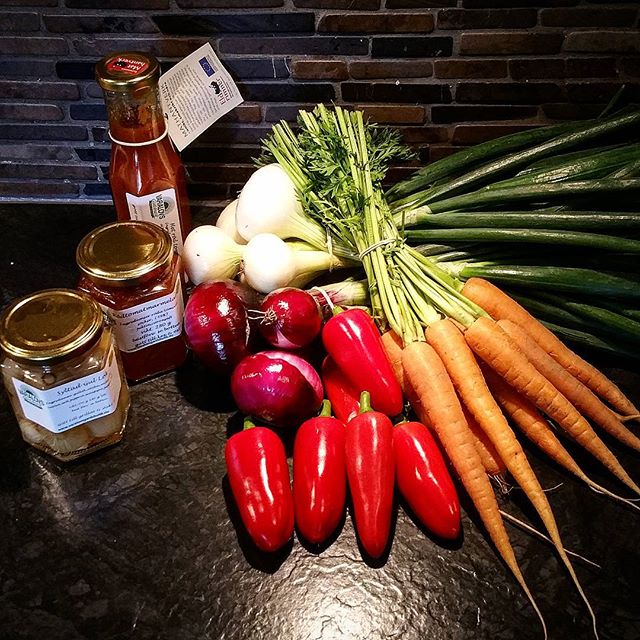 11326069_1642809262655017_1586792496_n