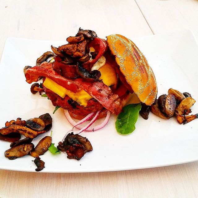 11820441_739016322868943_2039911927_n